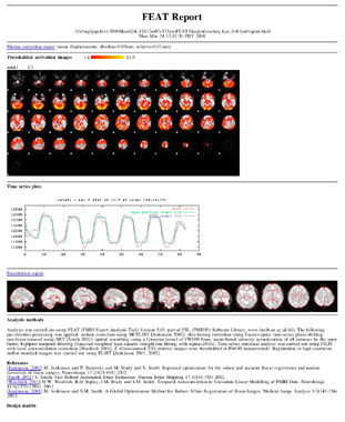 Example FEAT report