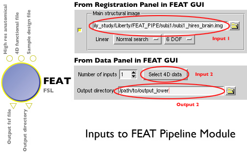 Inputs to the FEAT pipeline module.