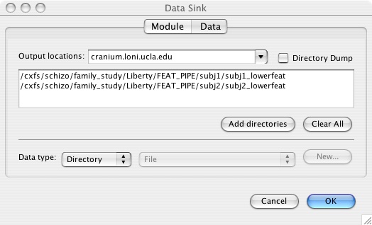 FEAT directory outputs in a data sink